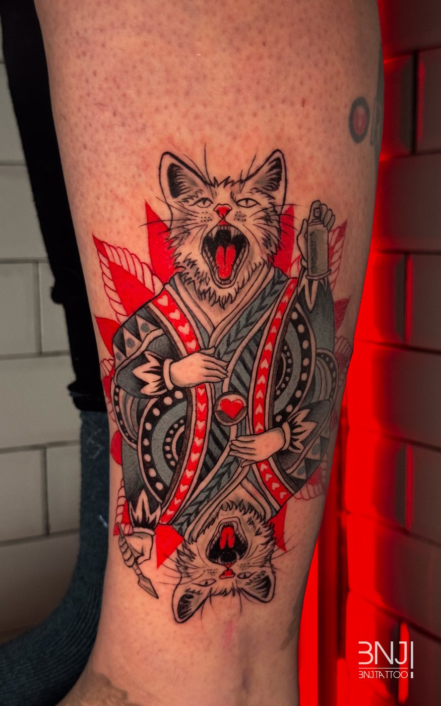 Gato en blackout